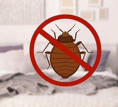 Jopestkil Kenya Top Best Specialist Bedbugs Control Services