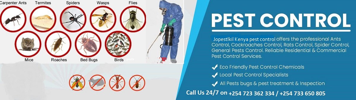 Jopestkil Kitale Best Expert Fumigation & Pest Control Services