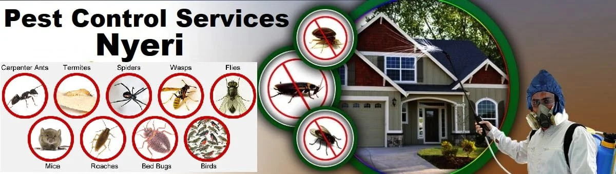 Fumigation services store near me