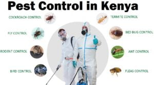 Fumigation & pest control services Kenya