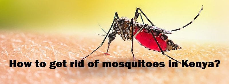 Jopestkil Kenya Best Ways & Methods to Get Rid of Mosquitoes