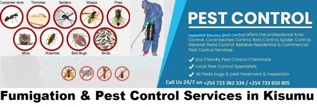 Jopestkil Kisumu Top Best Fumigation And Pest Control Services