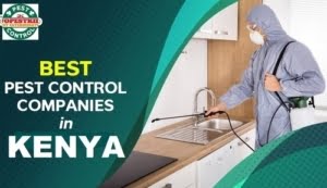 JOPESTKIL KENYA FUMIGATION & PEST CONTROL Services